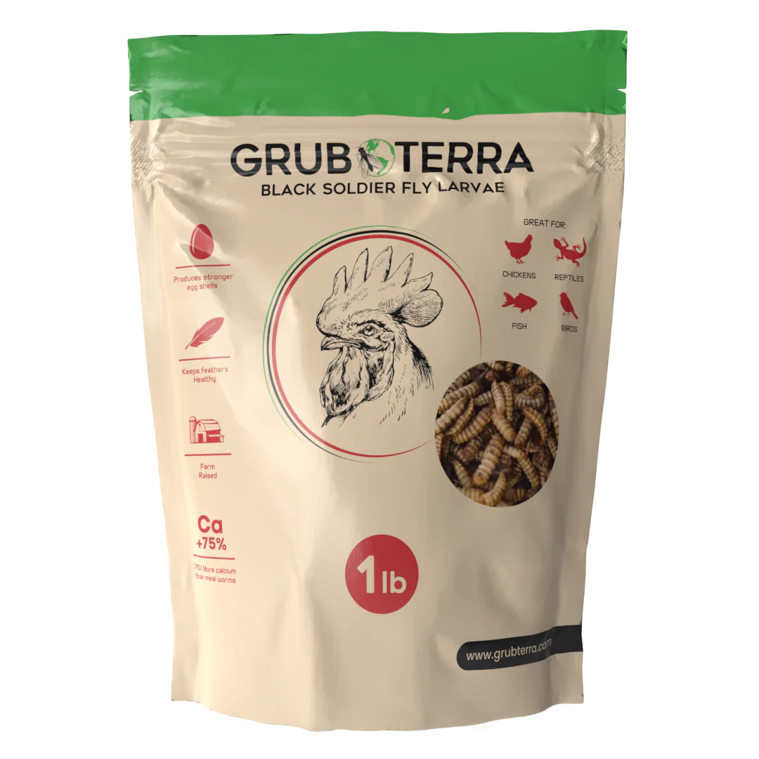 GrubTerra Dried Black Soldier Fly Larvae - The Safest Treat For Your Flock - Image 8