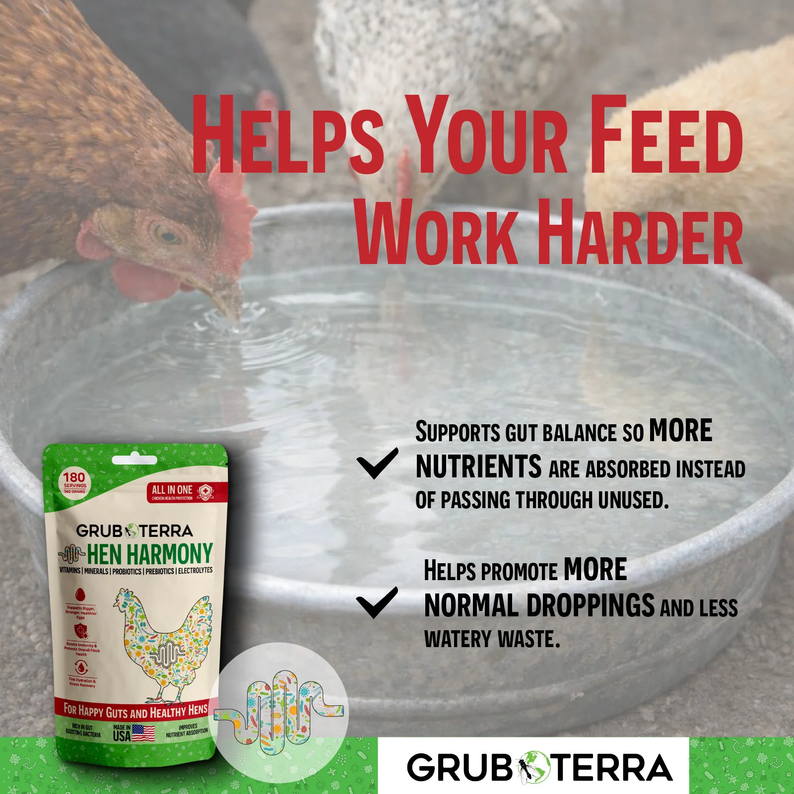 Hen Harmony. The Daily All In One Supplement for Flock Resilience - Image 5