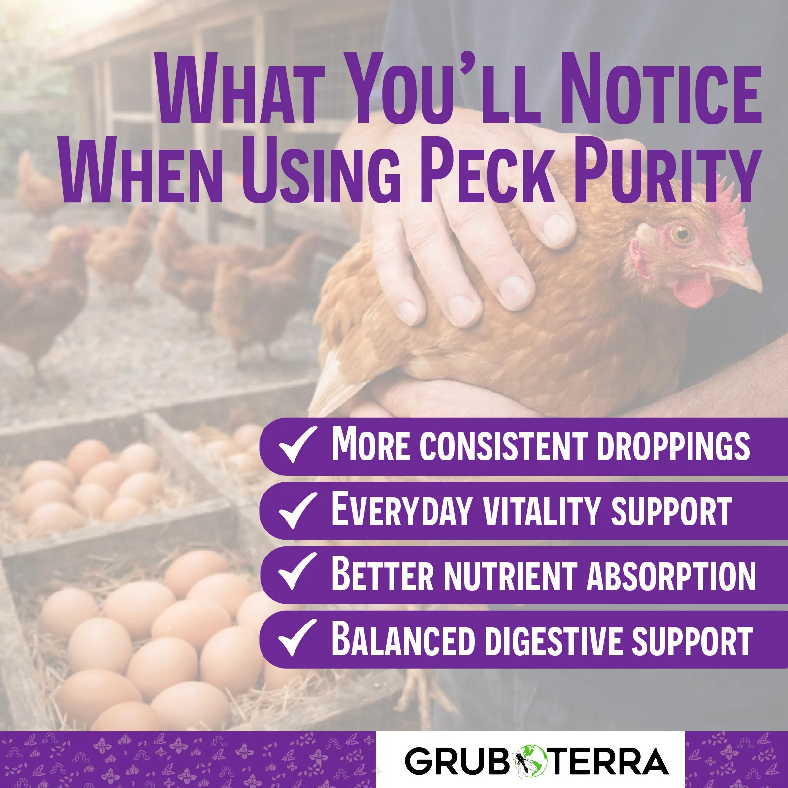 Peck Purity Chicken Dewormer - Image 3